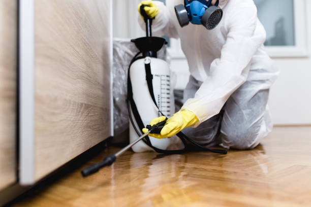 Best Ant Control Services  in Center, CO