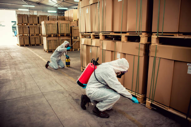 Best Cockroach Control Services  in Center, CO