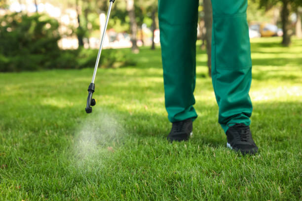Best Wildlife Control Services  in Center, CO