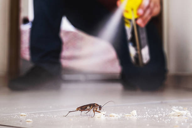 Professional Pest Control in Center, CO