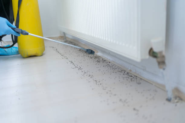 Best Cockroach Control Services  in Center, CO